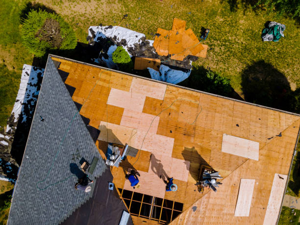 Best Storm Damage Roof Repair  in Century, FL